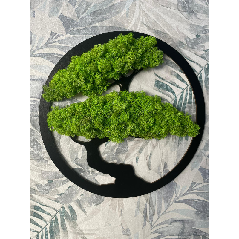 DRZEWO ŻYCIA BONSAI mech CHROBOTEK 40cm