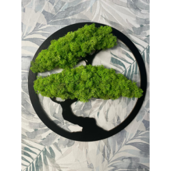 DRZEWO  30 CM ŻYCIA BONSAI mech CHROBOTEK