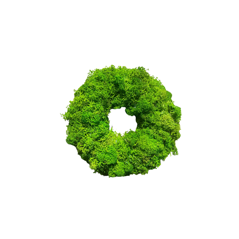 WIANEK 21 cm Z MCHU chrobotka na DRZWI podkład