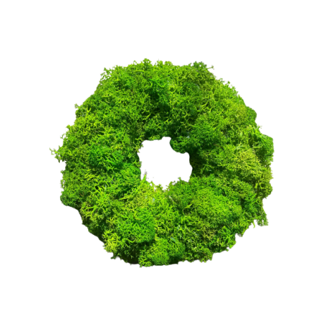 WIANEK 21 cm Z MCHU chrobotka na DRZWI podkład