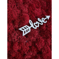 SERCE 30x34 cm Z MCHEM CHROBOTKIEM prezent